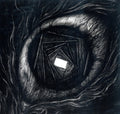 Carpe Noctem - Vitrun (Vinyl) (US Import)