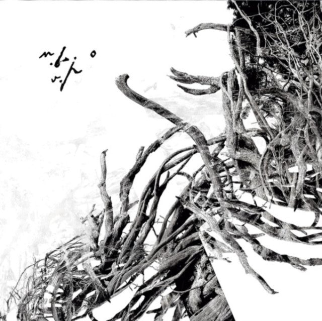 Negura Bunget - Virstele Pamintului (Vinyl) (US Import)