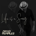 David Morales - Life Is A Song (2LP) (Vinyl) (US Import)
