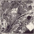 Seraphic Entombment - Sickness Particles Gleam (CD)