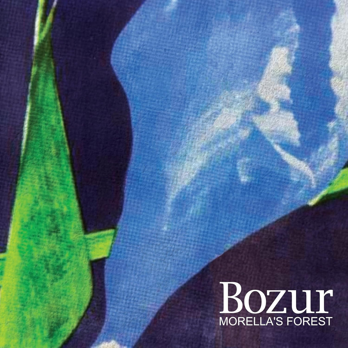 Morella's Forest - Bozur (CD) (US Import)