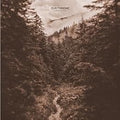 Our Throne - Amber & Gold (Vinyl) (US Import)