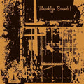 Brooklyn Sounds - Brooklyn Sounds! (Vinyl) (US Import)