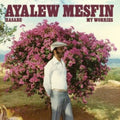 Ayalew Mesfin - Hasabe - My Worries (Vinyl) (US Import)