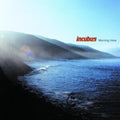 Incubus - Morning View (Vinyl) (US Import)