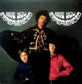 Jimi Hendrix - Are You Experienced (180g) (Vinyl) (US Import)