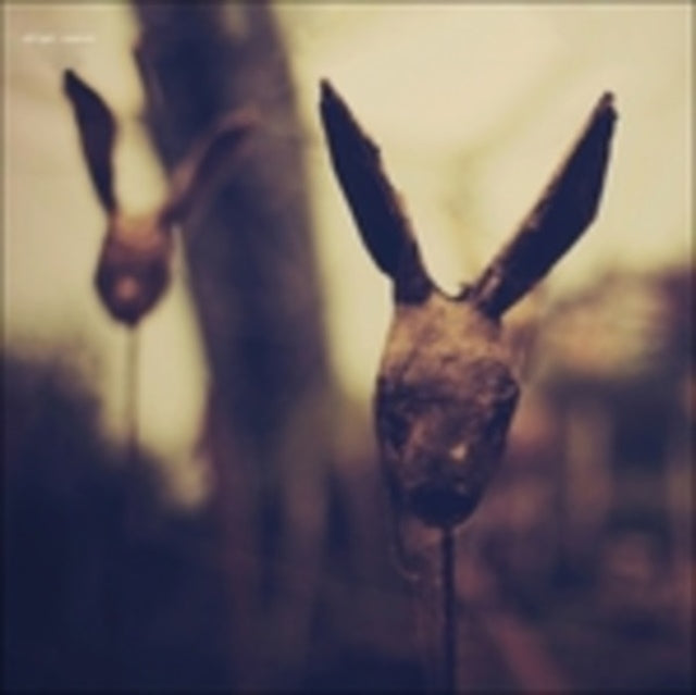 Still Light - Rosarium (CD)