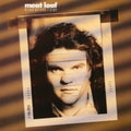 Meat Loaf - Blind Before I Stop (Vinyl) (US Import)