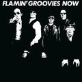 Flamin' Groovies - Now (White Vinyl/180g) (Vinyl) (US Import)