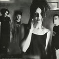 Cranes - Population Four (Silver & Black Marbled Vinyl/180g) (Vinyl) (US Import)