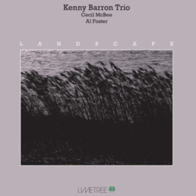 Kenny Trio Barron - Landscape (180g) (Vinyl) (US Import)