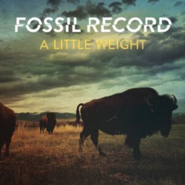 Fossil Record - Little Weight (CD)