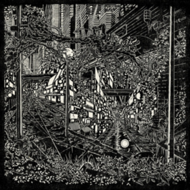 Jake Long - City Swamp (Vinyl) (US Import)