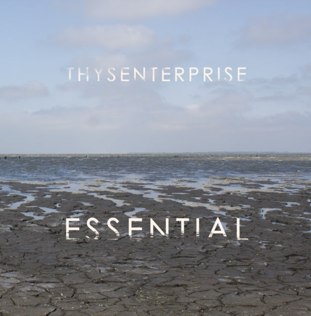 Thysenterprise - Essential (2LP) (Vinyl) (US Import)