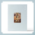 Various Artists - Snow Drop (JTBC Drama Ost) (CD)