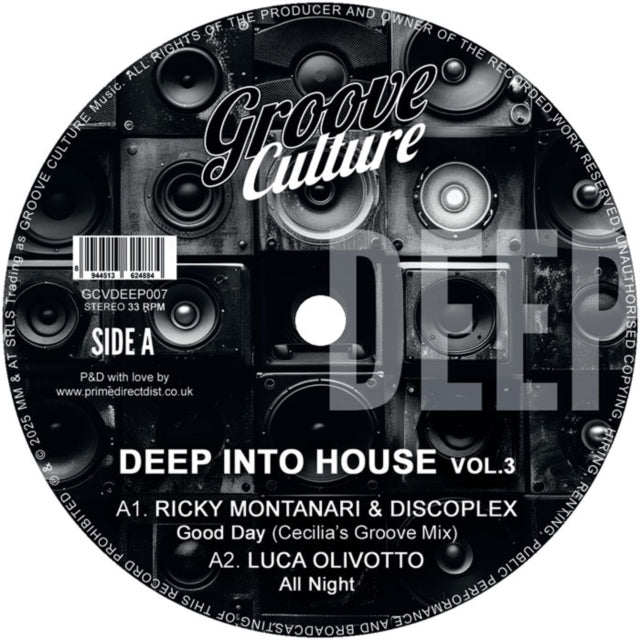 Various Artists - Deep Into House Vol. 3 (Vinyl) (US Import)