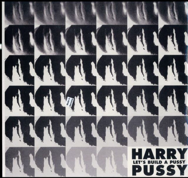 Harry Pussy - Let's Build A Pussy (2LP) (Vinyl) (US Import)