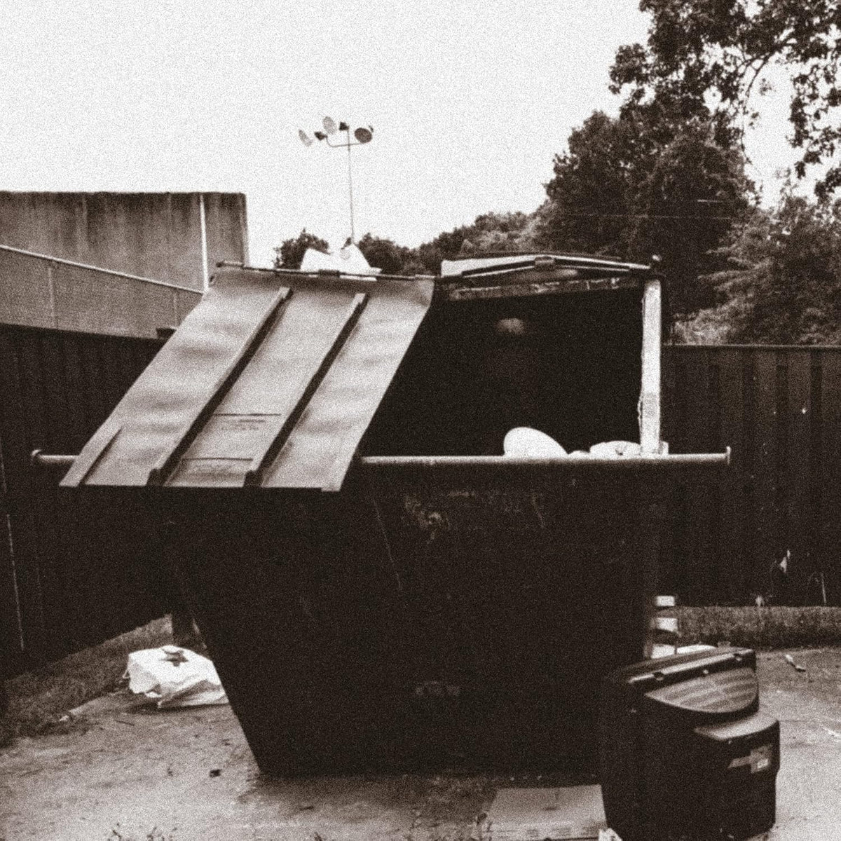 Doppelgangaz - Dumpster Dive (Vinyl) (US Import)