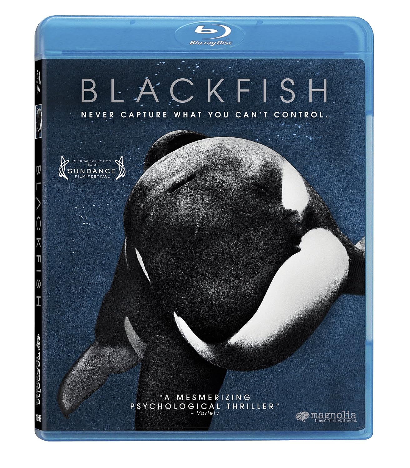 Blackfish (Blu-ray) (Region A US Import)