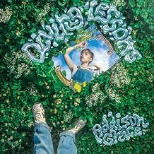 Addison Grace - Diving Lessons (Vinyl) (US Import)