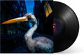 Antony Szmierek - Decoding Birdsong (Vinyl) (US Import)