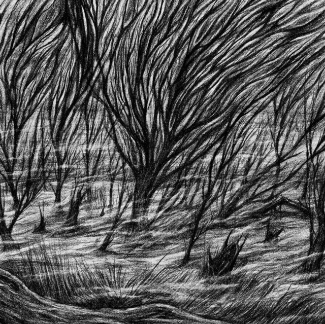 Bismuth - Eternal Marshes (Vinyl) (US Import)