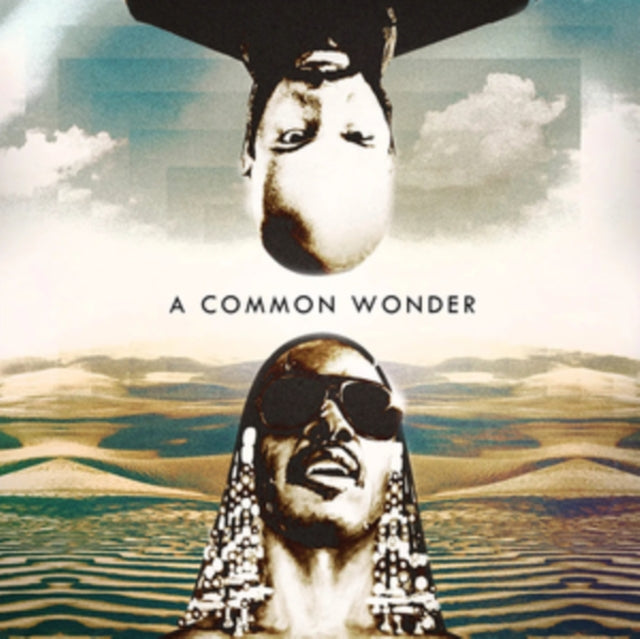 Cmmon - VS Stevie (Vinyl) (US Import)