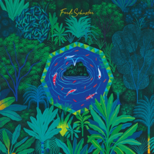 Ferdi Schuster - Playing Life (Vinyl) (US Import)