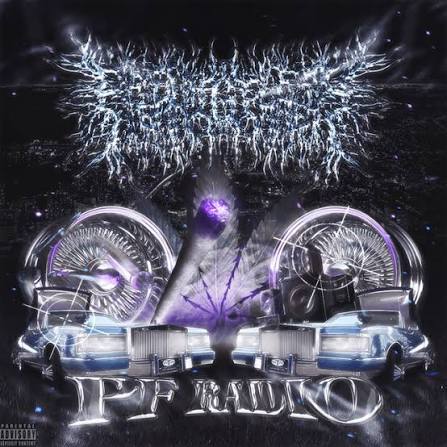 Peelingflesh - PF Radio (CD) (US Import)
