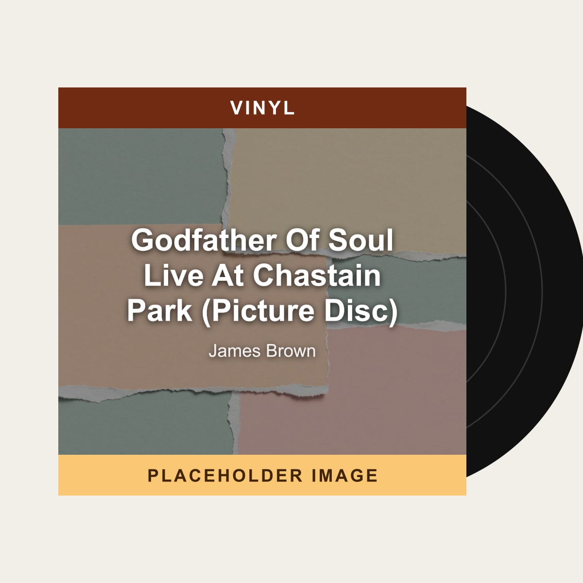 James Brown - Godfather Of Soul Live At Chastain Park (Picture Disc) (Vinyl) (US Import) - placeholder image